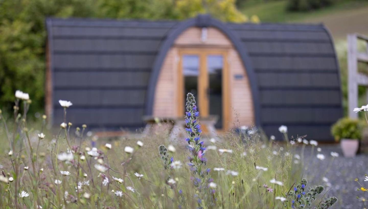 ブレアゴーリーIsla Pod, Kilry Eco Podsアパートメント エクステリア 写真